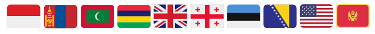 Flags_DoMaximum
